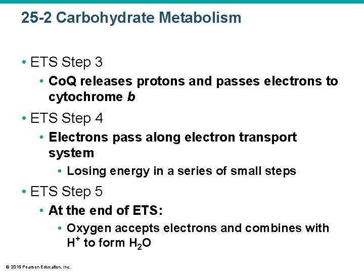 25 -2 Carbohydrate Metabolism • ETS Step 3 • Co. Q releases protons and