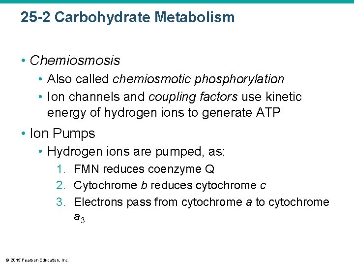 25 -2 Carbohydrate Metabolism • Chemiosmosis • Also called chemiosmotic phosphorylation • Ion channels