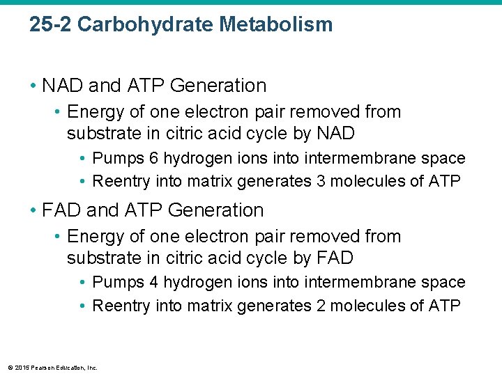 25 -2 Carbohydrate Metabolism • NAD and ATP Generation • Energy of one electron