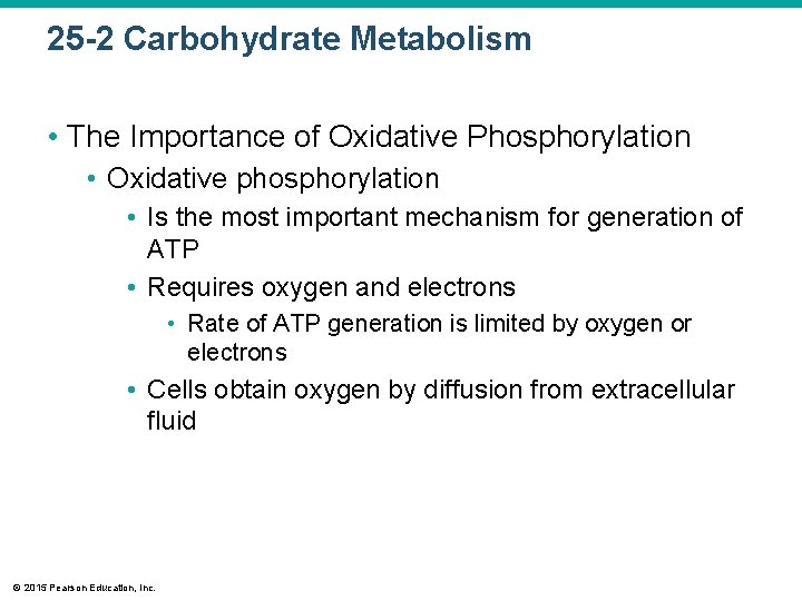 25 -2 Carbohydrate Metabolism • The Importance of Oxidative Phosphorylation • Oxidative phosphorylation •