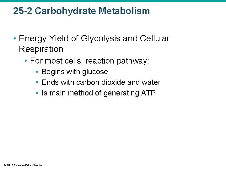 25 -2 Carbohydrate Metabolism • Energy Yield of Glycolysis and Cellular Respiration • For