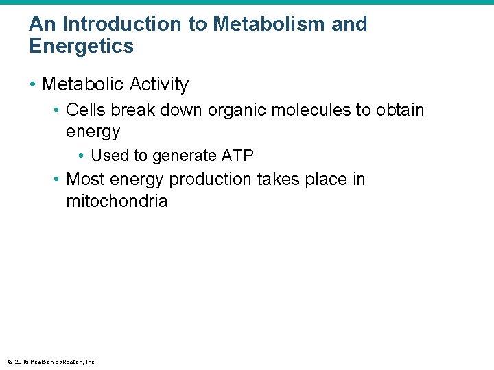 An Introduction to Metabolism and Energetics • Metabolic Activity • Cells break down organic