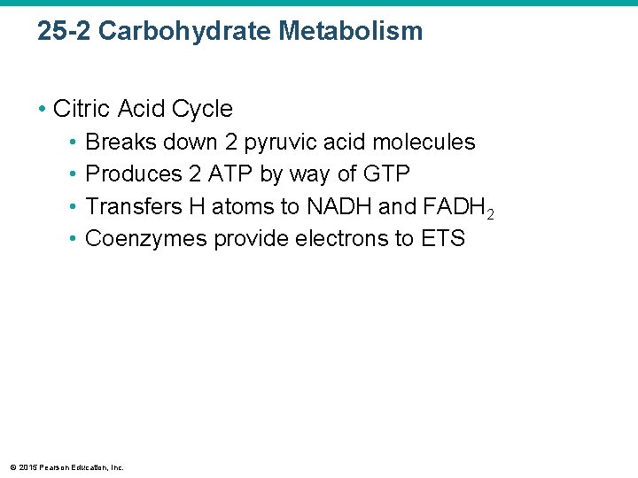 25 -2 Carbohydrate Metabolism • Citric Acid Cycle • • Breaks down 2 pyruvic
