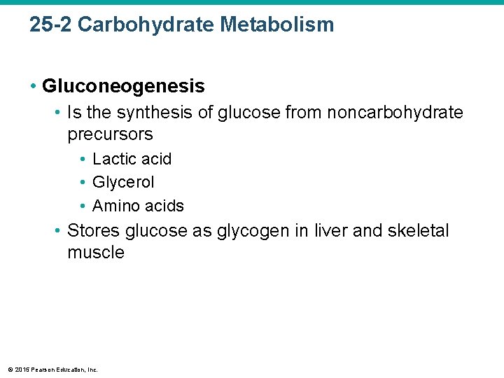 25 -2 Carbohydrate Metabolism • Gluconeogenesis • Is the synthesis of glucose from noncarbohydrate