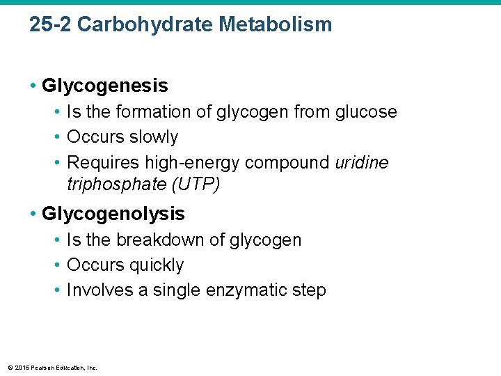 25 -2 Carbohydrate Metabolism • Glycogenesis • Is the formation of glycogen from glucose