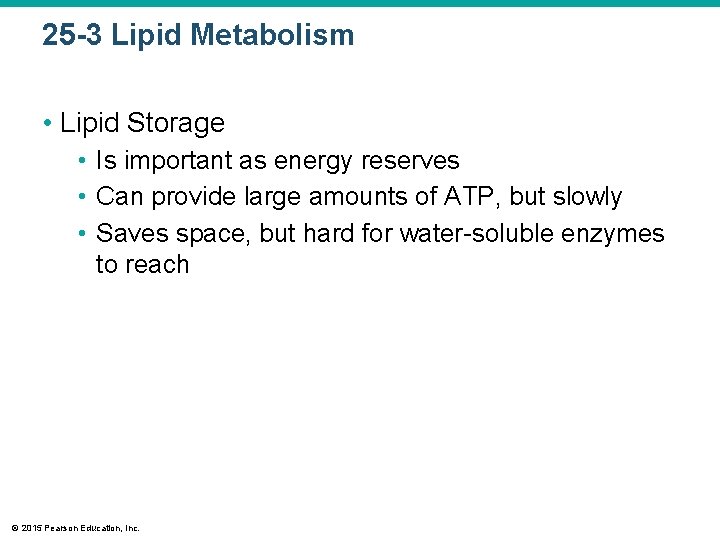 25 -3 Lipid Metabolism • Lipid Storage • Is important as energy reserves •