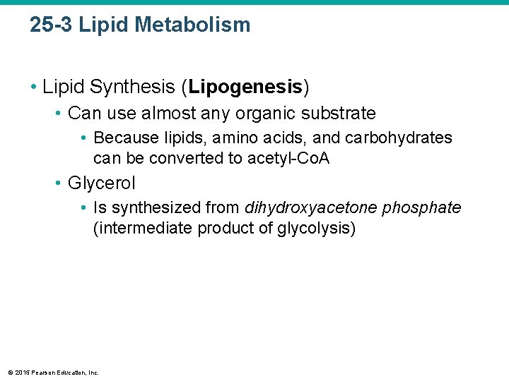 25 -3 Lipid Metabolism • Lipid Synthesis (Lipogenesis) • Can use almost any organic