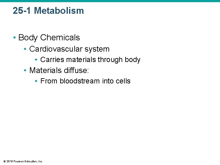 25 -1 Metabolism • Body Chemicals • Cardiovascular system • Carries materials through body
