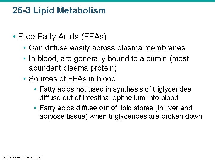 25 -3 Lipid Metabolism • Free Fatty Acids (FFAs) • Can diffuse easily across