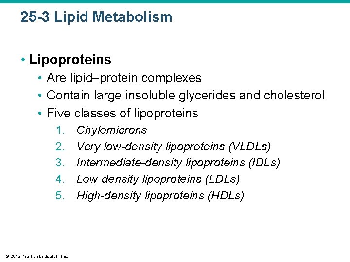 25 -3 Lipid Metabolism • Lipoproteins • Are lipid–protein complexes • Contain large insoluble