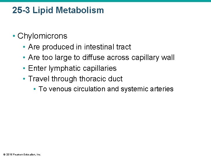 25 -3 Lipid Metabolism • Chylomicrons • • Are produced in intestinal tract Are