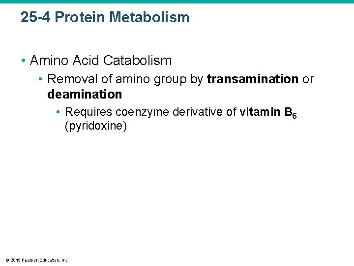25 -4 Protein Metabolism • Amino Acid Catabolism • Removal of amino group by