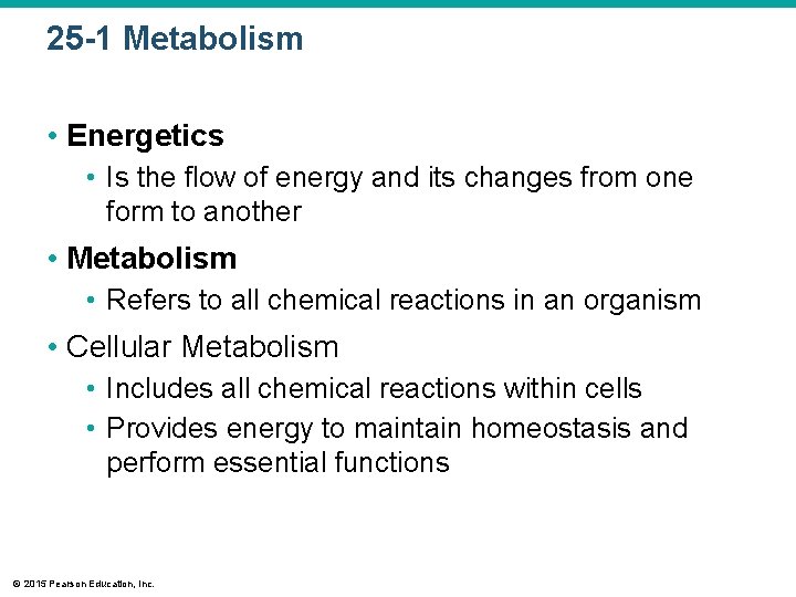 25 -1 Metabolism • Energetics • Is the flow of energy and its changes
