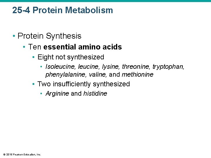 25 -4 Protein Metabolism • Protein Synthesis • Ten essential amino acids • Eight
