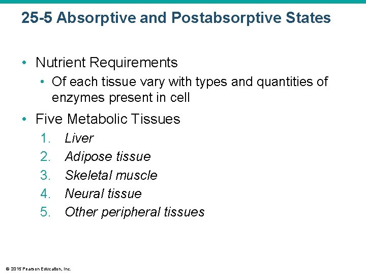 25 -5 Absorptive and Postabsorptive States • Nutrient Requirements • Of each tissue vary