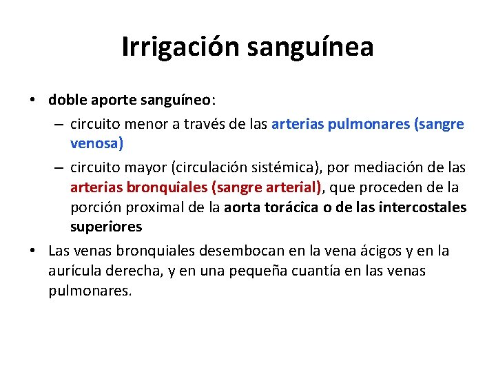Irrigación sanguínea • doble aporte sanguíneo: – circuito menor a través de las arterias