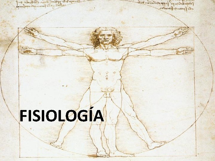 FISIOLOGÍA 
