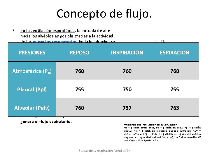 Concepto de flujo. En la ventilación espontánea, la entrada de aire hacia los alvéolos