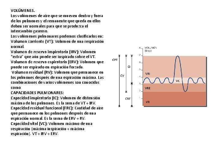 VOLÚMENES. Los volúmenes de aire que se mueven dentro y fuera de los pulmones