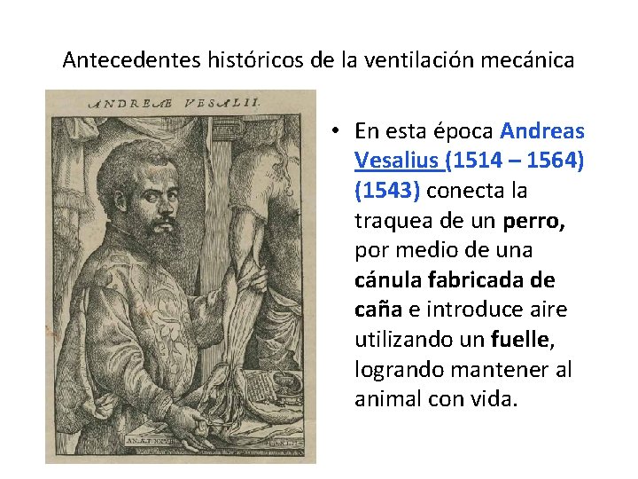 Antecedentes históricos de la ventilación mecánica • En esta época Andreas Vesalius (1514 –