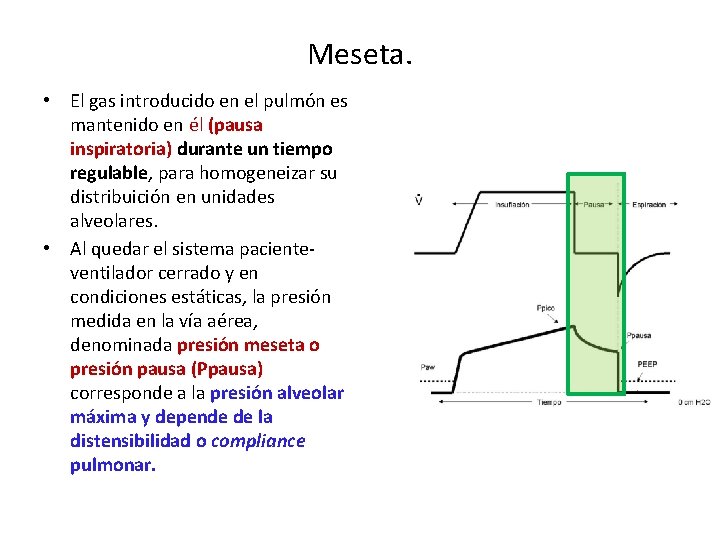 Meseta. • El gas introducido en el pulmón es mantenido en él (pausa inspiratoria)