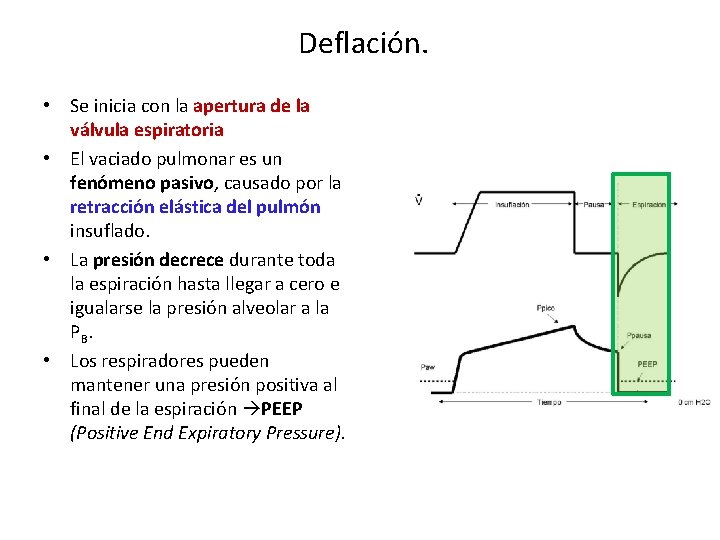 Deflación. • Se inicia con la apertura de la válvula espiratoria • El vaciado