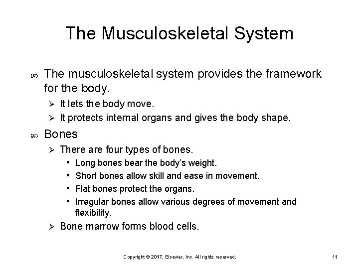 The Musculoskeletal System The musculoskeletal system provides the framework for the body. It lets