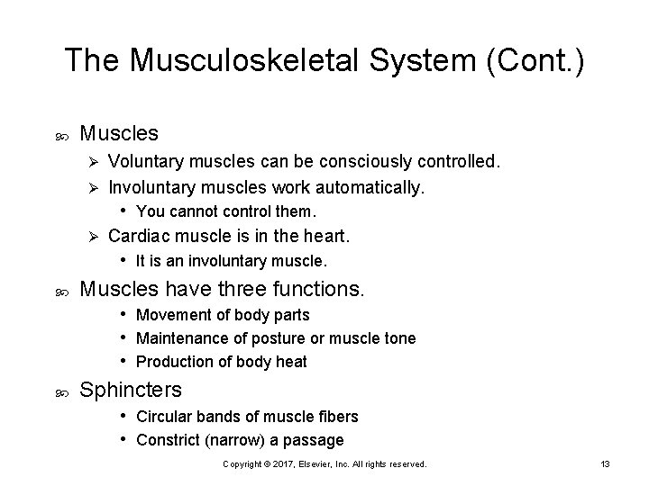 The Musculoskeletal System (Cont. ) Muscles Voluntary muscles can be consciously controlled. Ø Involuntary