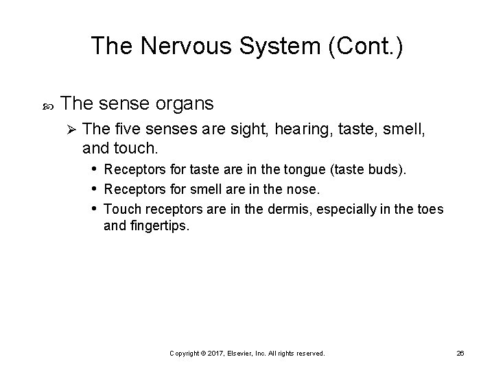 The Nervous System (Cont. ) The sense organs Ø The five senses are sight,