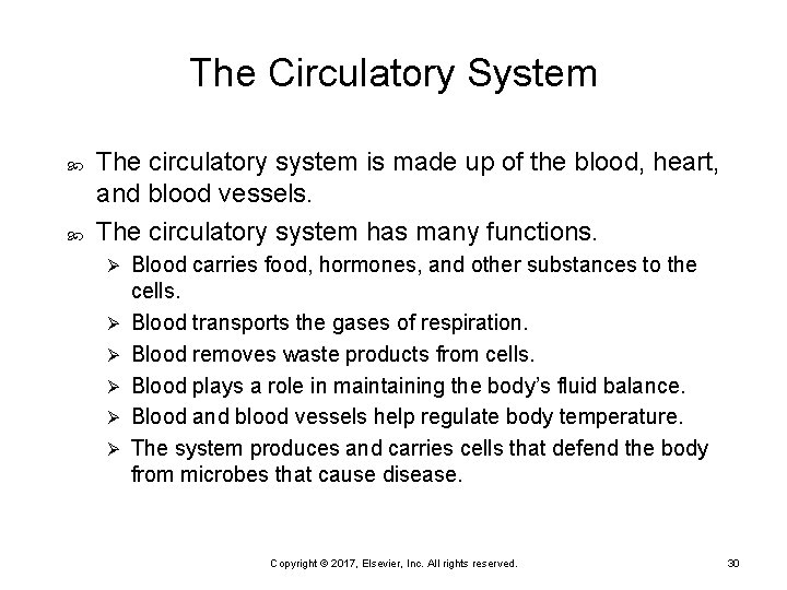 The Circulatory System The circulatory system is made up of the blood, heart, and