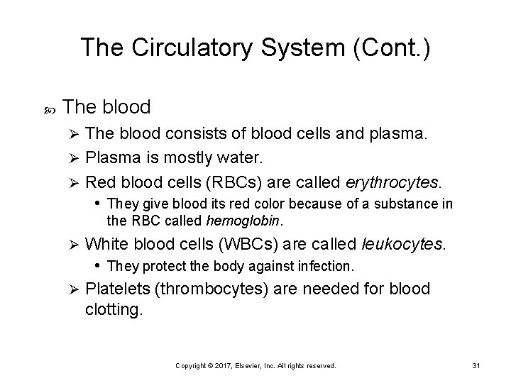 The Circulatory System (Cont. ) The blood consists of blood cells and plasma. Ø