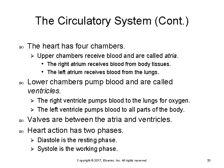 The Circulatory System (Cont. ) The heart has four chambers. Ø Upper chambers receive