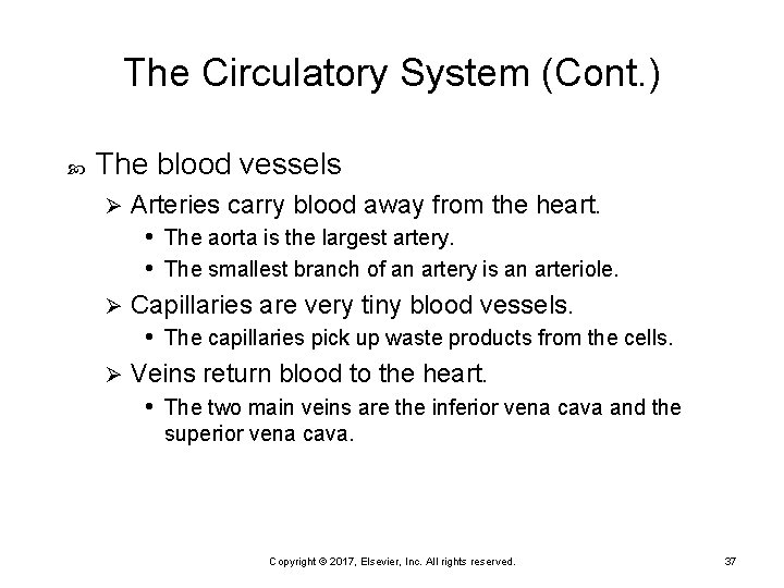 The Circulatory System (Cont. ) The blood vessels Arteries carry blood away from the