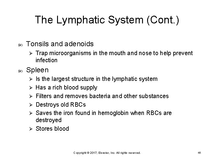 The Lymphatic System (Cont. ) Tonsils and adenoids Ø Trap microorganisms in the mouth