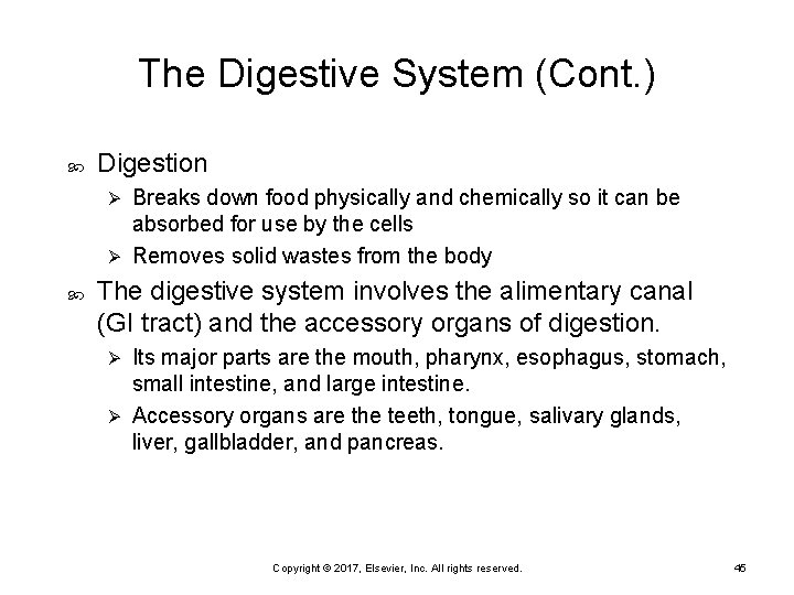 The Digestive System (Cont. ) Digestion Breaks down food physically and chemically so it