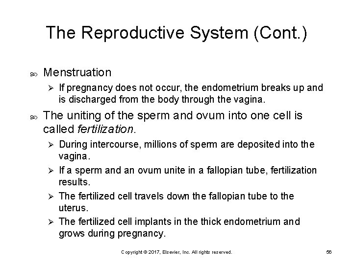 The Reproductive System (Cont. ) Menstruation Ø If pregnancy does not occur, the endometrium