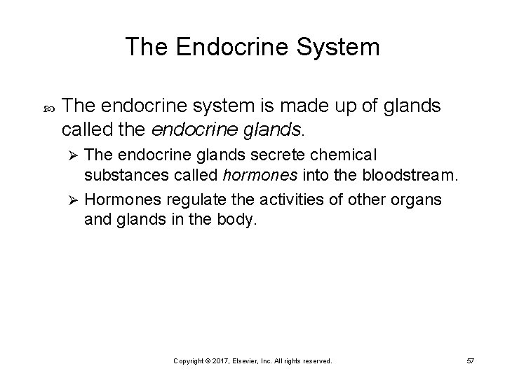 The Endocrine System The endocrine system is made up of glands called the endocrine