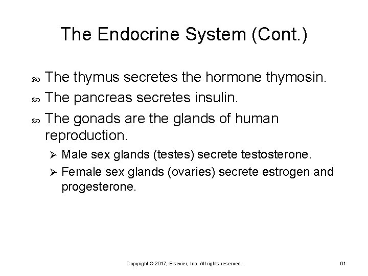 The Endocrine System (Cont. ) The thymus secretes the hormone thymosin. The pancreas secretes