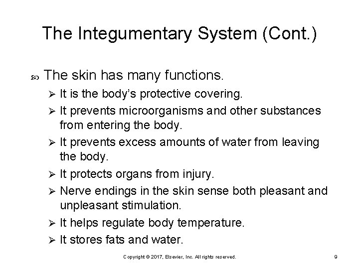 The Integumentary System (Cont. ) The skin has many functions. It is the body’s