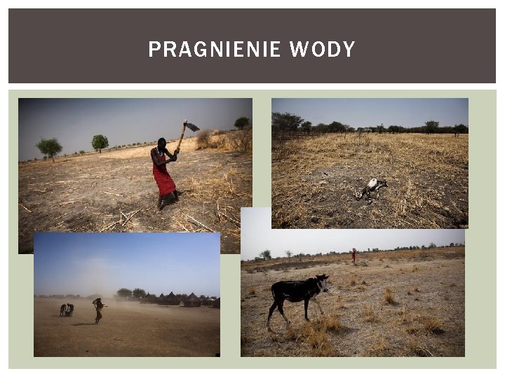 PRAGNIENIE WODY 