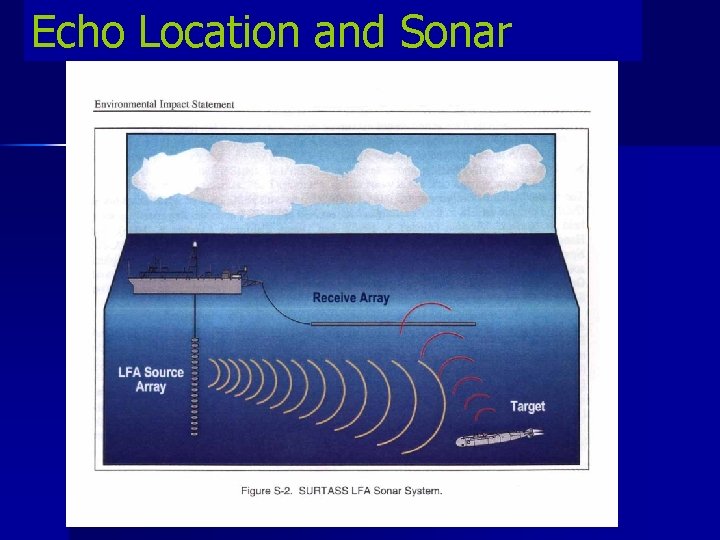 Echo Location and Sonar 