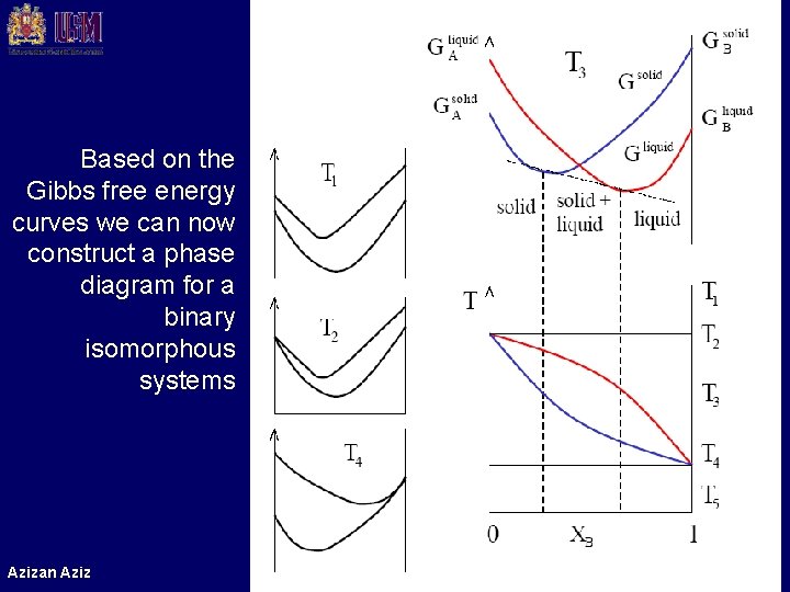 Based on the Gibbs free energy curves we can now construct a phase diagram