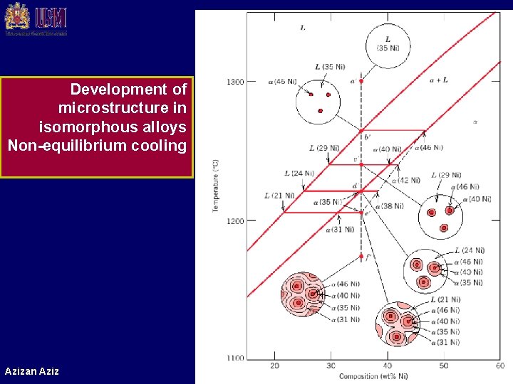 Development of microstructure in isomorphous alloys Non-equilibrium cooling Azizan Aziz School of Materials and