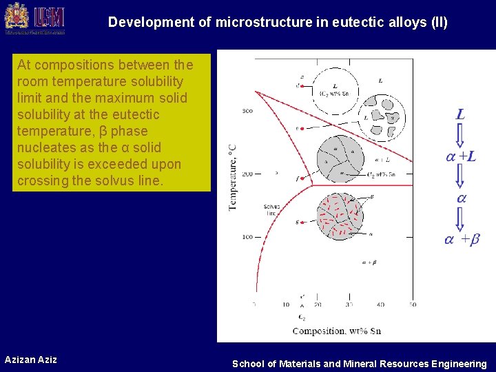 Development of microstructure in eutectic alloys (II) At compositions between the room temperature solubility Development of microstructure in eutectic alloys (II) At compositions between the room temperature solubility