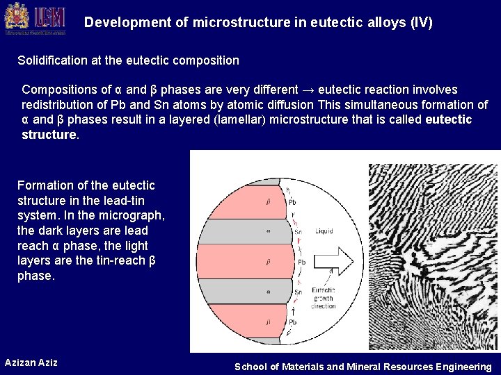 Development of microstructure in eutectic alloys (IV) Solidification at the eutectic composition Compositions of