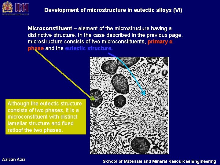 Development of microstructure in eutectic alloys (VI) Microconstituent – element of the microstructure having Development of microstructure in eutectic alloys (VI) Microconstituent – element of the microstructure having