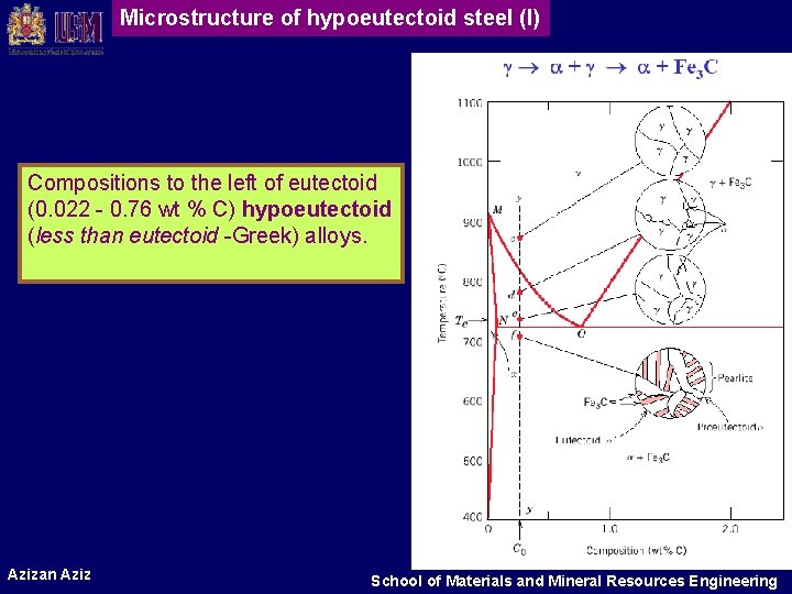 Microstructure of hypoeutectoid steel (I) Compositions to the left of eutectoid (0. 022 -