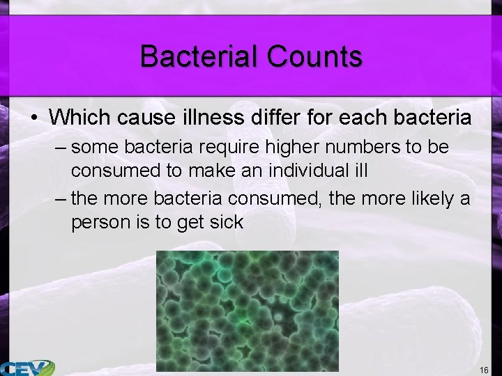 Bacterial Counts • Which cause illness differ for each bacteria – some bacteria require