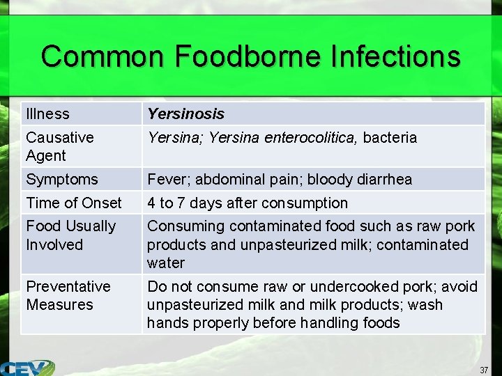 Common Foodborne Infections Illness Yersinosis Causative Agent Yersina; Yersina enterocolitica, bacteria Symptoms Fever; abdominal