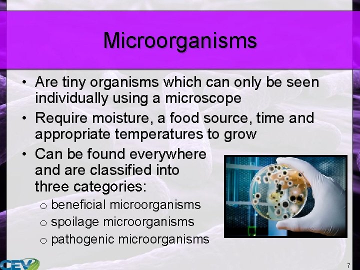 Microorganisms • Are tiny organisms which can only be seen individually using a microscope